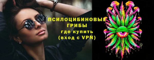 spice Арсеньев