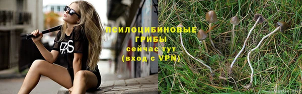 spice Арсеньев